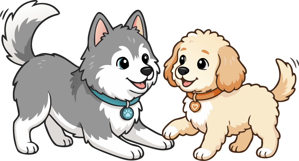Kai and Luna, two Pawky dogs, playing together